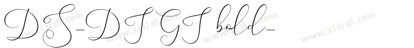 DS-DIGI bold字体转换